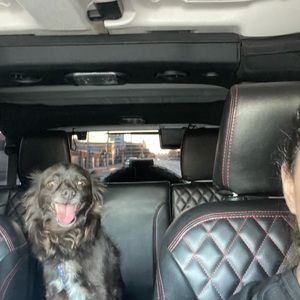 Meet your Posher, Susana